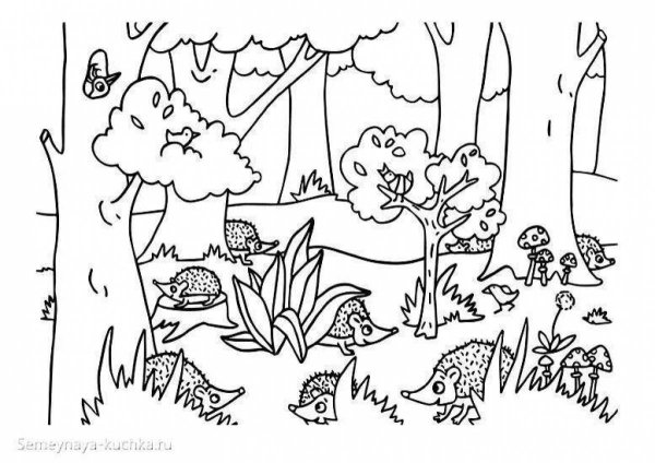 Осень в лесу раскраска для детей
