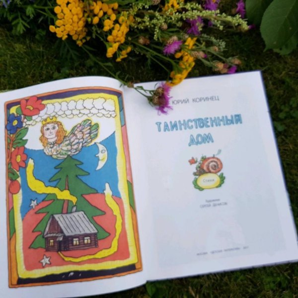 Коринец таинственный дом читательский дневник