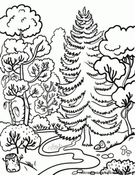 Лес раскраска для детей
