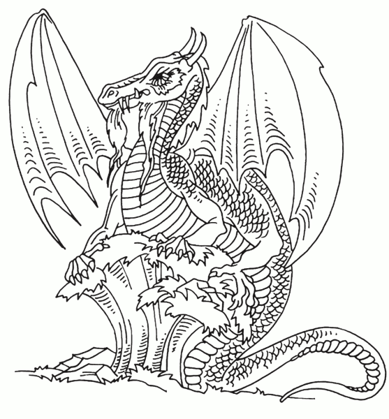 Раскраска антистресс дракон