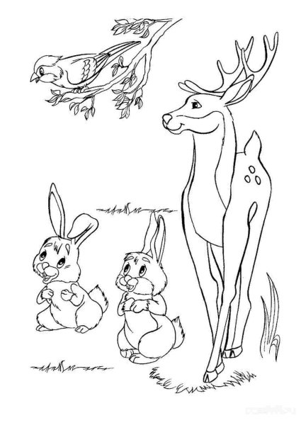 Раскраска животные леса