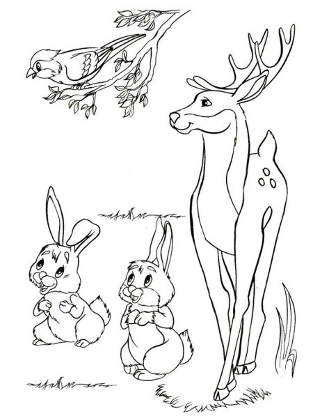 Раскраска животные леса