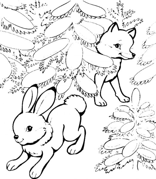 Лесные животные раскраска для детей