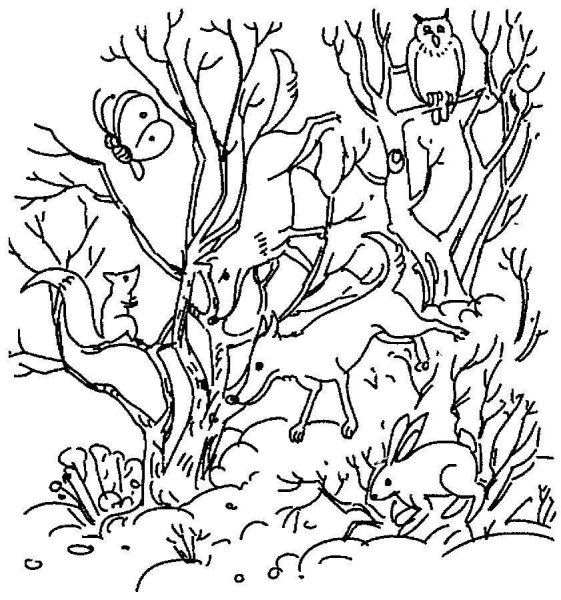 Задание заколдованный лес Куражева