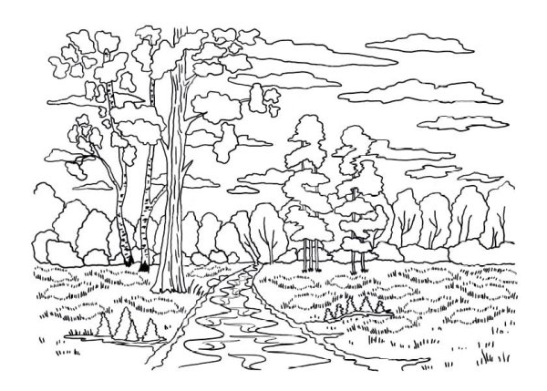 Осенний пейзаж раскрасить