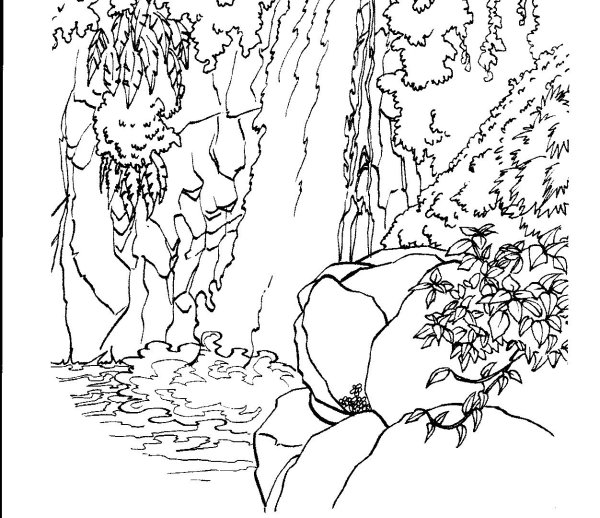 Водопад раскраска для детей