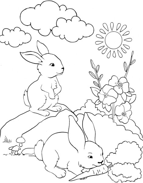 Раскраска крольчонок
