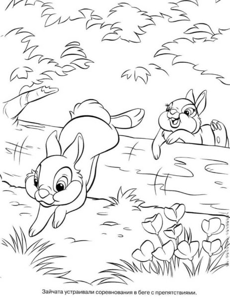 Зайка в лесу раскраска