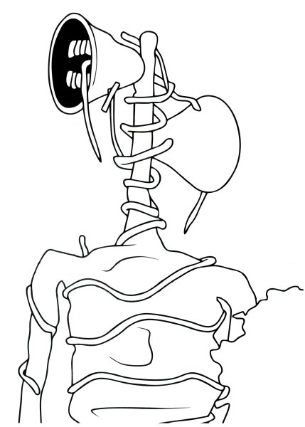 Стреноголовый раскраска