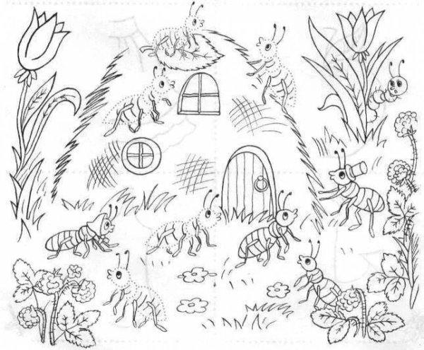 Муравейник раскраска для детей