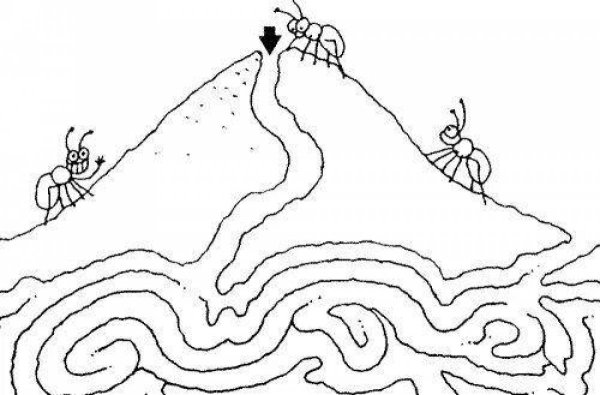 Муравейник раскраска для детей