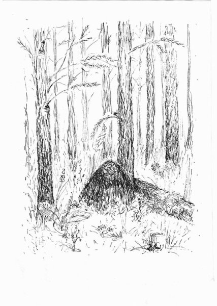 Муравейник рисунок карандашом