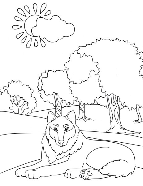 Раскраска волк
