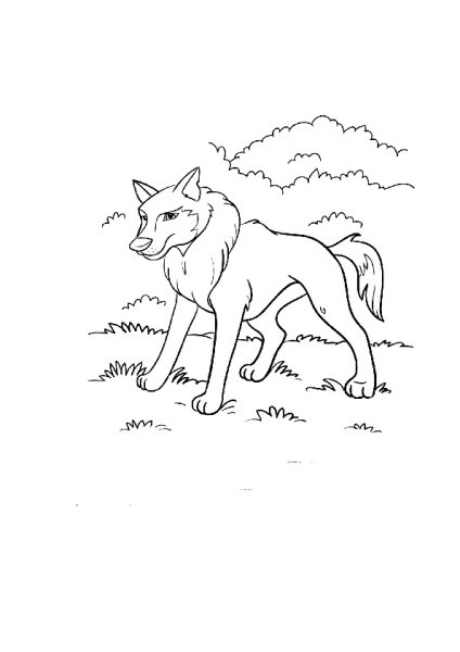 Серый волк раскраска