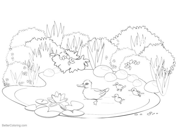 Водоем раскраска для детей