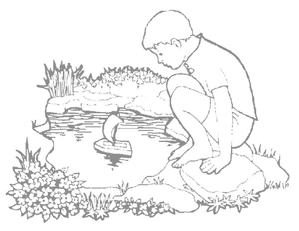 Пруд раскраска для детей