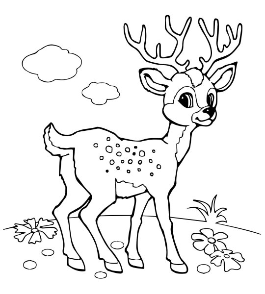 Олень раскраска
