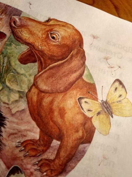 Паустовский к., жильцы