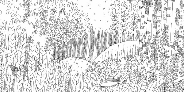 Раскраски природа сложные