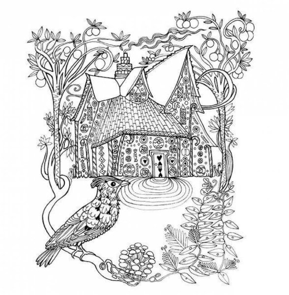 Раскраски антистресс заколдованный лес