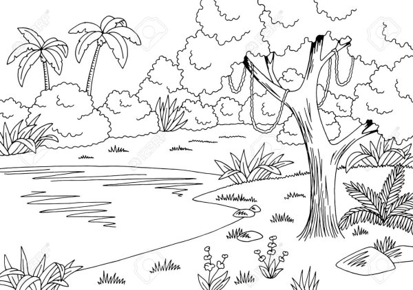 Озеро раскраска для детей