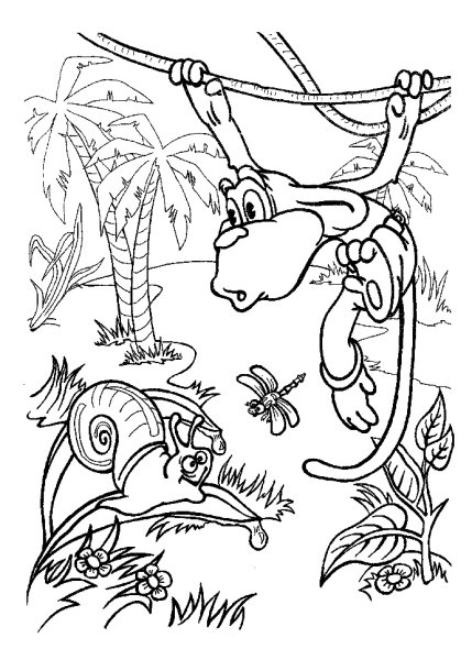 Обезьянка на Пальме раскраска