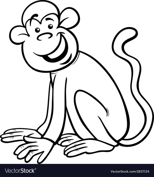 Черно белая мартышка