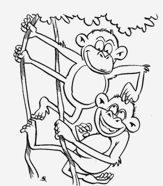 Обезьянка раскраска