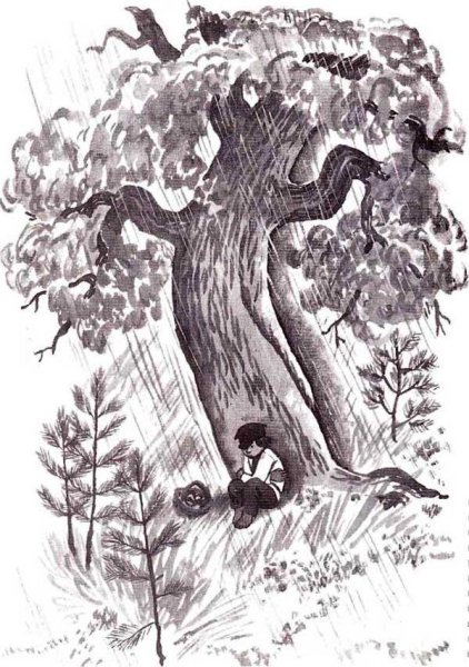 Гроза в лесу толстой