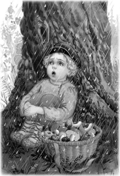 Гроза в лесу толстой