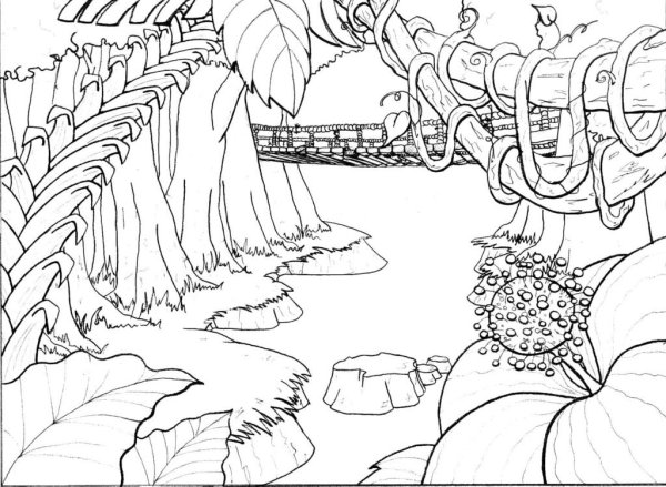Раскраска джунгли