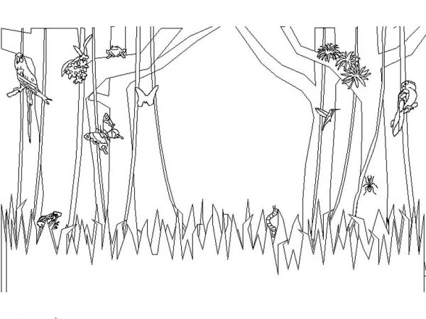Лес для декораций раскраска