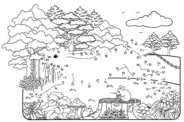 Раскраски по цифрам природа