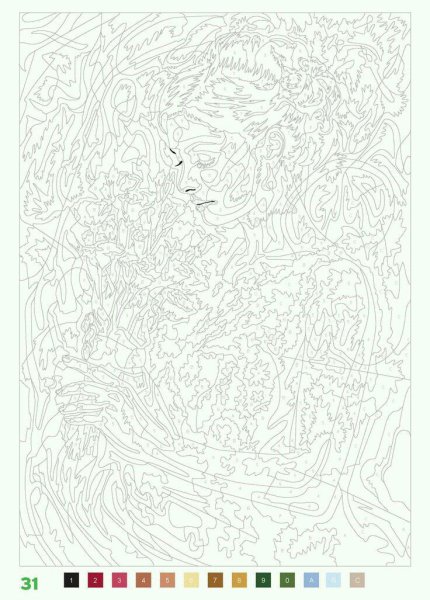 Раскраски по номерам сложные