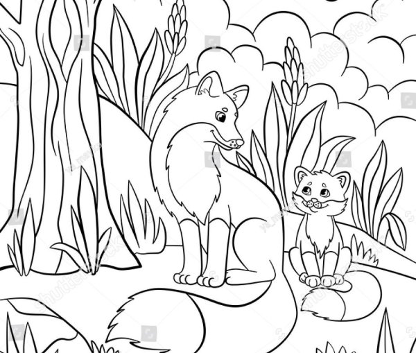 Раскраска лиса в лесу