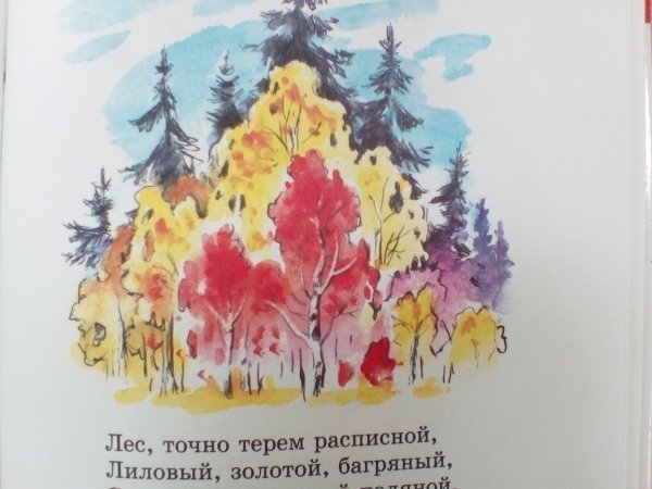 Лес точно Терем расписной иллюстрации