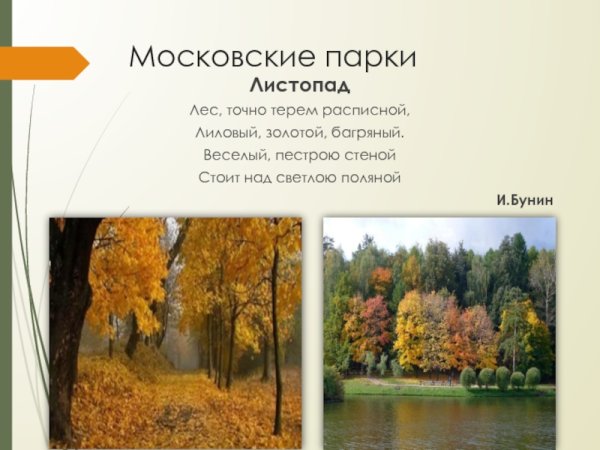 Лес точно Терем расписной Автор