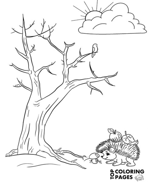 Ежик и дерево раскраска