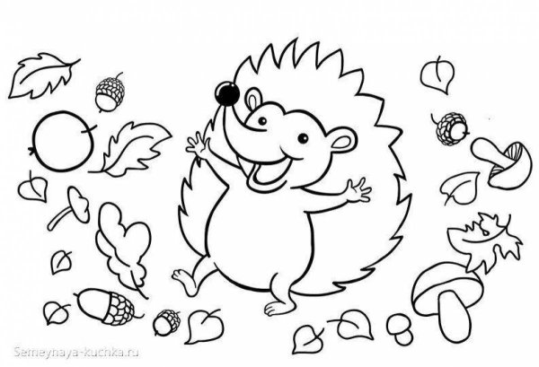 Осенний Ежик раскраска для детей