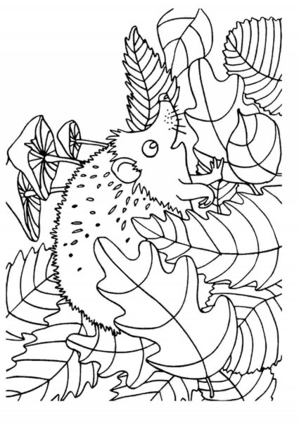 Раскраски для детей на осеннюю тематику