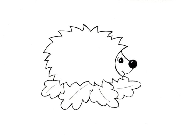 Раскраска Ёжик