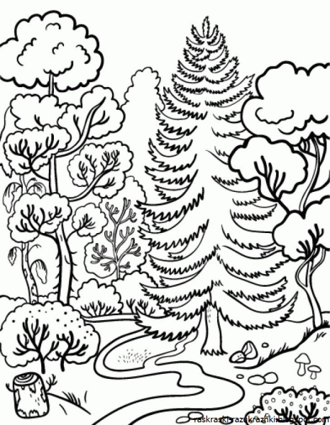 Лес раскраска для детей