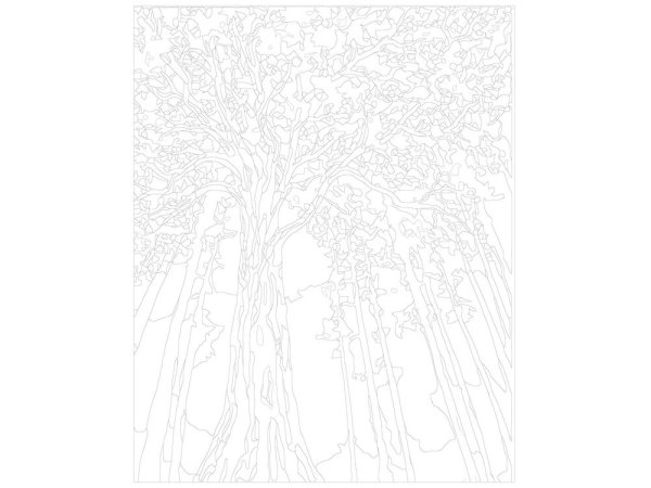 Раскраска по номерам осень