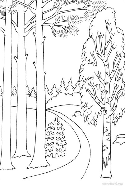 Раскраска лес для дошкольников