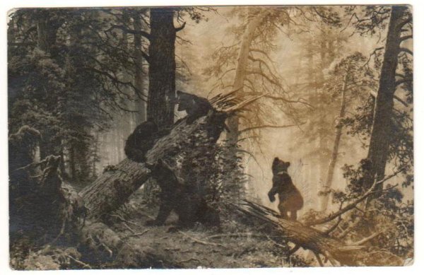 Шишкин пикник в Сосновом лесу