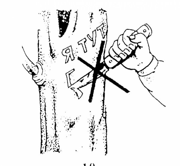 Не повреждай кору деревьев