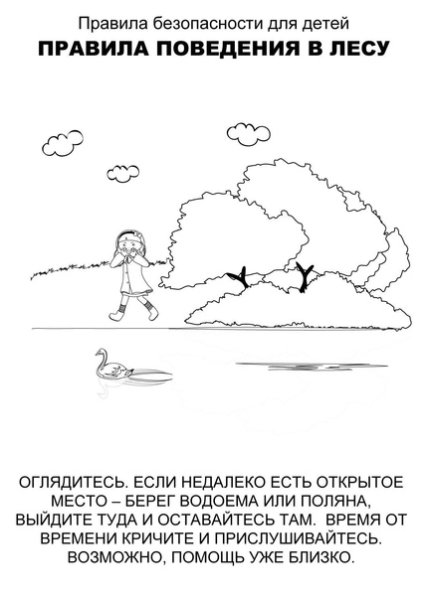 Правила поведения в лесу