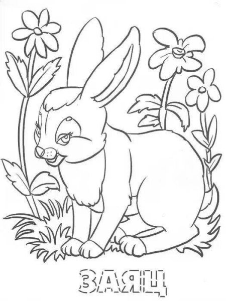 Лесные звери. Раскраска