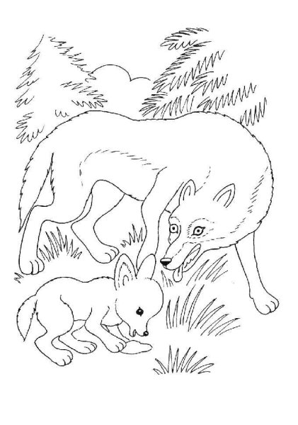 Дикие животные раскраска для детей