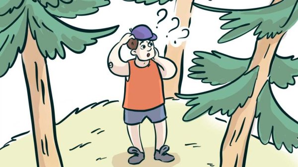 Фразеологизм заблудиться в трех соснах